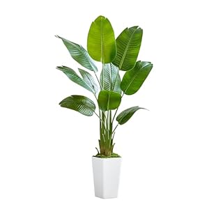 Lifelike Bird of Paradise Silk Artificial Plant Faux Banana Leaf Tree for Home Decor – Perfect Indoor Floor Plant with 9 Trunks (1, White Tall Planter, 5 FT)