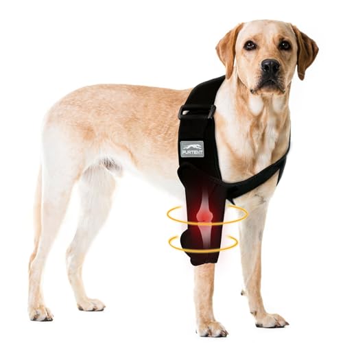 Furtent Dog Elbow Protector for Pet Elbow Dysplasia, Shoulder Dislocation – Offers Elbow Support, Dog Recovery Suit Taper Collar Alternative, Helps Wound Healing (XL, Right Leg)