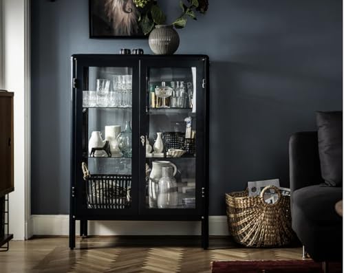 Image of FABRIKOR Glass-door cabinet, black-blue, 81x113 cm (31 7 /8x44 1 /2 inch)
