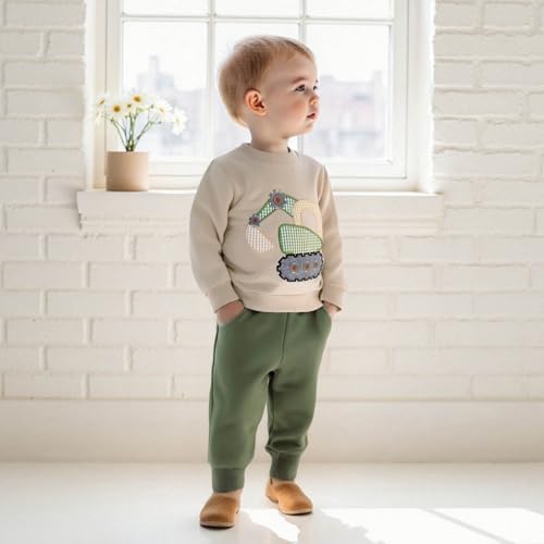 Toddler Baby Boy Fall Winter Outfit Excavator Embroidered Long Sleeve Sweatshirt Elastic Jogger Pant 2 Pcs Clothes2