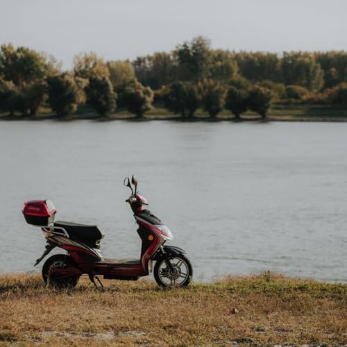 Sinal Verde: novas regras para ciclomotores e bikes el&eacute;tricas