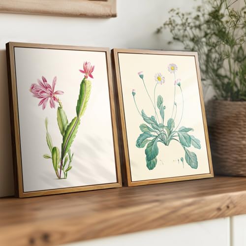 crmotu Botanical Framed Wall Art, Daisy Vintage Decor Pictures, Minimalist Floral Canvas Prints, Still Life Flower Nature Wall Decor, Bathroom Bedroom Above Bed Kitchen Rustic Home Decor, 8x10 inch