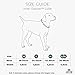 DOG Copenhagen Urban Explorer 3.0 Halsband, Black, M