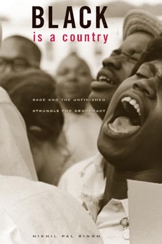 Black Is a Country: Race and the Unfinished Struggle for Democracy