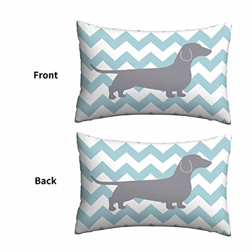 Mugod Home Decor Pillow Cases Grey Dachshund Dog With Teal Waves Striped Pattern,Standard Throw Cushion Cover For Bed Couch Sofa Office Decor 20X30 Inches #TOP1