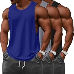 Black, Light Gray, Royal Blue