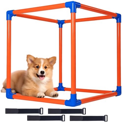 Flickzy Puppy Play Gym for Small Dogs