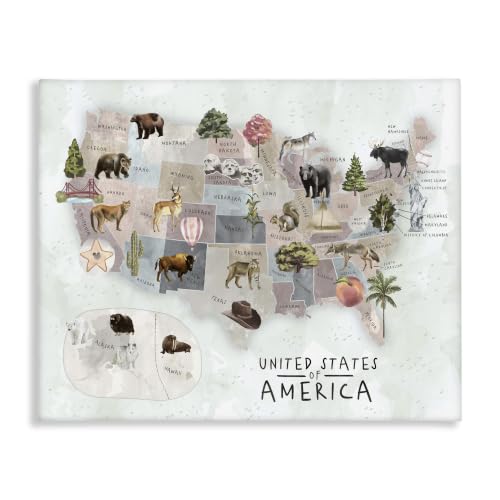 Stupell Industries 'United States Map Animal Illustrations'| Canvas Art