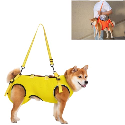 ACUOPNK pn[lXCʋC  pn[lX s⏕ V  pi EȒP V//p//aC ^ ^   r Q nr U  ̑Oƌ둫̕⏕ o֗ (CG[,Sȉd8`1