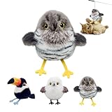 Celerypets Rechargeable Flapping Bird Cat Toy – Stimulates Hunting Instincts, 3 Wingspan Modes, Touch-Activated with Realistic Bird Sounds, Interactive Play for Cats of All Breeds (B)