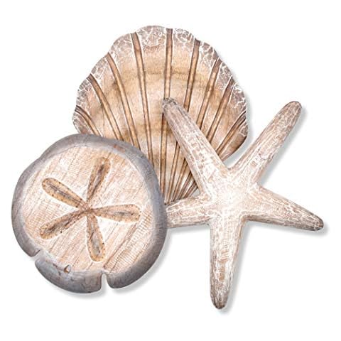 T.I. Design Shell Collection (Starfish, Scallop, and Sand Dollar) Cover