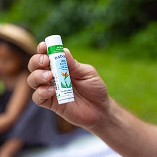 Badger Bug Bite Itch Relief Stick, Natural & Organic Anti Itch Cream for Bug Bites, Rashes & Poison Ivy, Fast Itchy Skin Relief After Bite, Works Great, Smells Great, Easy to Use, .6 oz