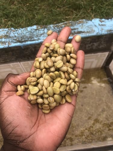 Ethio-Jazz Joro Coffee en grano tostado medio 12 oz miniatura 7