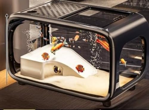 Queeninget~j`AtBbVLbǵAx^A_JAMыɍœKłBWAɕ֗ȃNC~Ot[AaA^т₷AʋCAđʓIȑłB (K,yґb)