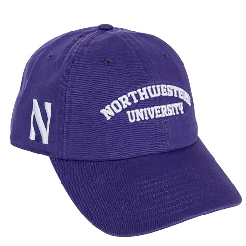 Desert Cactus Northwestern University Gorra Baseball Ajustable miniatura 1