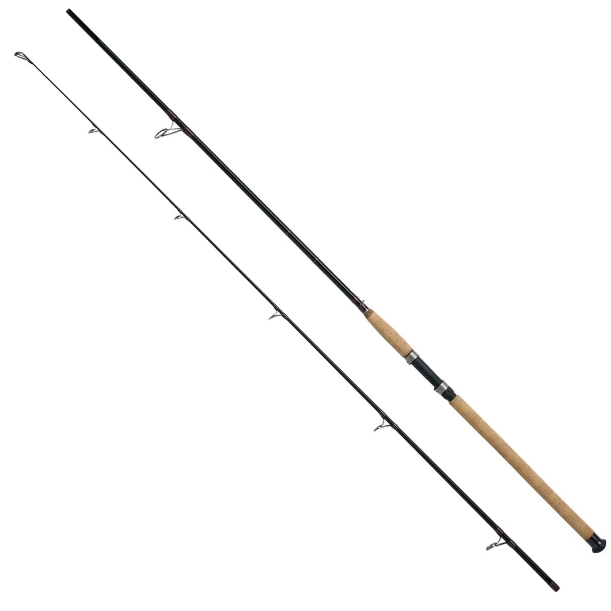 WFT Charisma Power II LTC 2,20m 120-420g Bootsrute