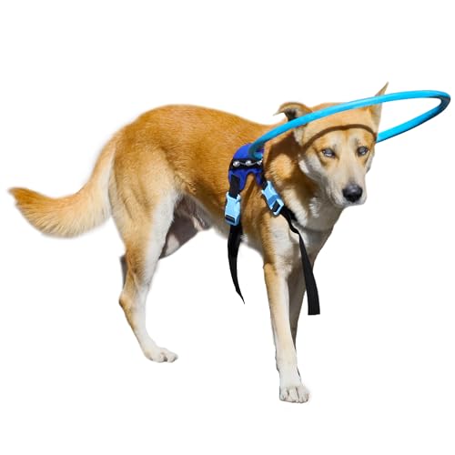 Pettorina per cani ciechi, collare protettivo per cani, dispositivo di guida per imbracatura per costruzione di fiducia, accessori per cani ciechi, M