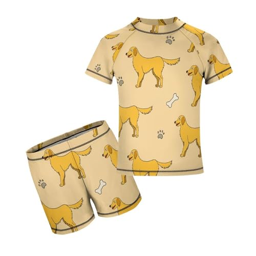 Labrador Retriever Dog and PawsChildren's Swimsuits Boys Two Piece Suit10-12Y（150cm）