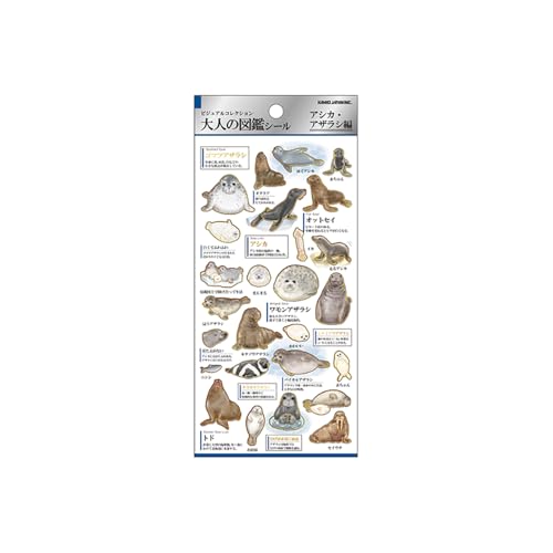 J~IWp V[ l̐}ӃV[ AVJ AUV 226341