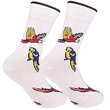 FUNATIC Macaw Parrot Dress Socks for Men Women | Animal Lover Gift Idea with Wildlife Picture | Best National Park Day Accessory Attire | Zoo Apparel Party Present Supplies Nature Saying Accessories