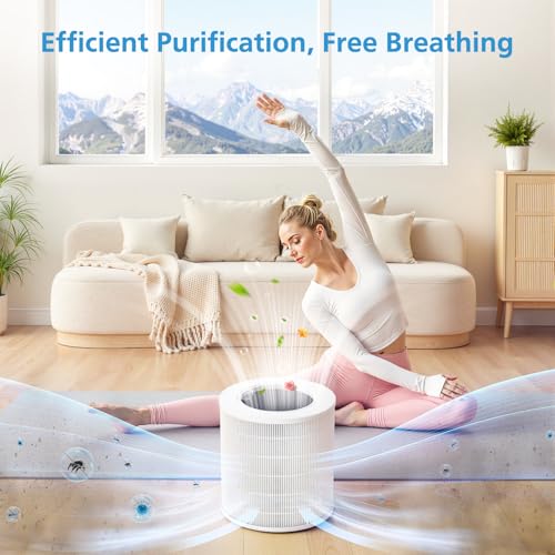 Image of A2005 Replacement Filter Compatible with A2005 Air Purifier, 3-In-1 HEPA Activated Carbon Filter for Smoke Dust Odors Pollen Pet Dander Quiet 99.9% Removal to 0.3 Microns for Home Bedroom