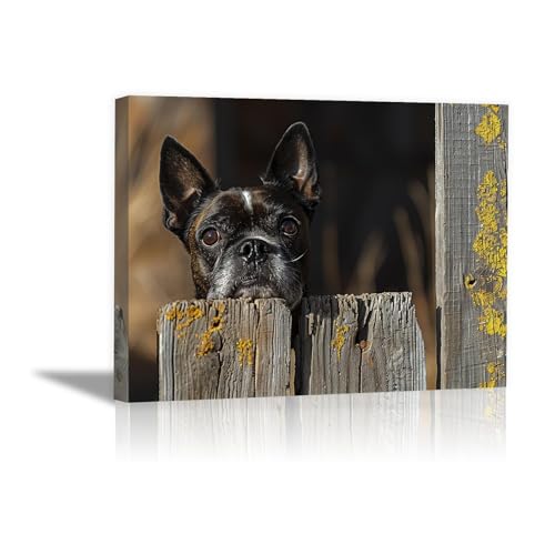 Chien art sur toile drôle DunPei pour égayer votre salon