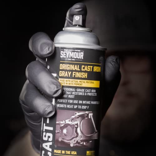 Seymour 16-2668 Automotive Specialties Spray Paint, Cast Iron Gray 12 Ounce (Pack Of 1) #TOP5