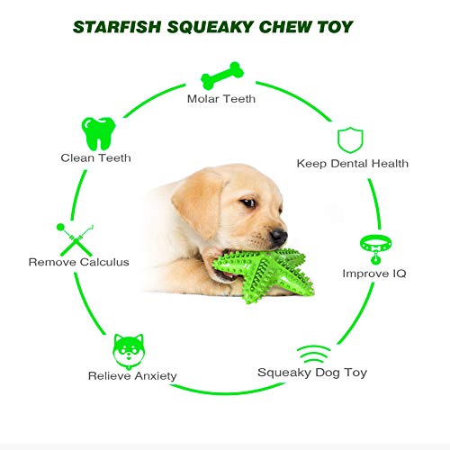 Image of Squeaky Dog Toys - Starfish Natural Teeth Cleaning Toy for Small & Medium Dogs (Green)