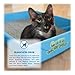 Lucy Pet Cats Incredible™ 20 lb Jug Clumping Cat Litter with Smell Squasher™, Absorbent Natural Clay Formula Prevents Ammonia Build-Up, Unscented