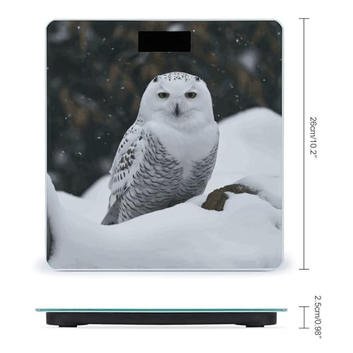 Báscula digital inteligente para baño con pantalla grande miniatura 2