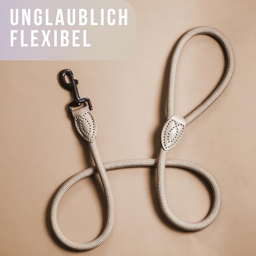 ne&no Tauleine 1.2m (leicht dehnbar) für mittelgroße bis ganz große Hunde I Trainingsleine I Hundeleine robust I Führleine rund, geflochten I Seil Leine Hund I Cityleine I Dog Leash Taupe, 120 cm
