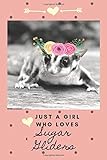 cute notebooks for school online  Cute Sugar Glider Journal: An Adorable Blank Lined Journal Notebook to Write In - Pink Sugar Glider Floral Crown - Sugar Glider Gift Idea for Girls Women Teens Kids