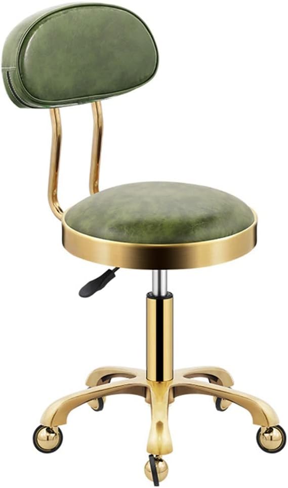 Hydraulic Adjustable Rolling Stool with Back Rest for Salon Clinic Heavy Duty Swivel Stool on Wheels with SGS Rod for Comfort and Mobility