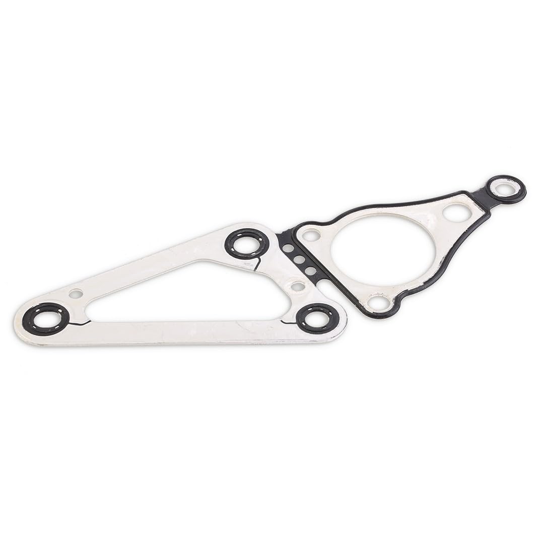 RIDEX 1389T2552 Kit catena distribuzione con guarnizioni con ingranaggio Compatibilità con PEUGEOT BOXER Furgonato