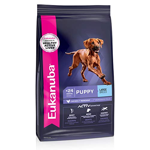 Eukanuba Puppy Large Breed Dry Dog Food, 33 lb. bag