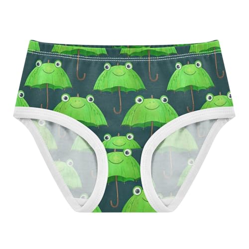Joisal Personalized Toddlers Underwear Floral 2t Cotton Little Girl Panties Cute Green Umbrellas Frog Undies Kids Briefs