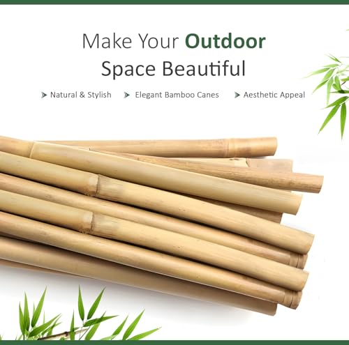 Blado Thick Bamboo Canes - Heavy Duty, Natural Garden Stakes, Strong Bamboo Sticks for Plant Support - Ideal for Gardens and Outdoor Spaces 2FT, 3FT, 4FT, 5FT, 6FT (40, 2ft, 6-8mm)