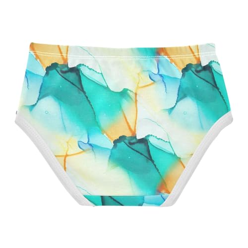 Joisal Personalized Girls Underwear Toddlers 2t Cotton Cute Panties Girl Chic Watercolor Blue Gradient Briefs Kids Undies2