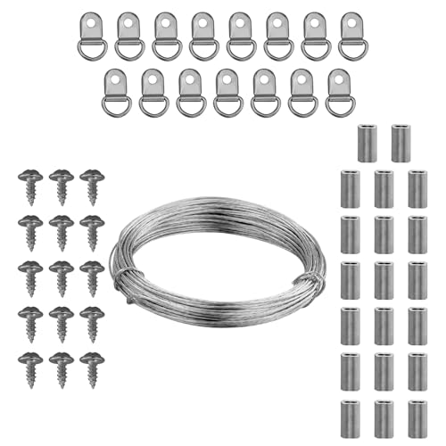 2 mm x 10 m de alambre para colgar cuadros de acero inoxidable, clavos para colgar fotos, cuerda para colgar cuadros de espejo con 20 tubos de presión, 15 anillas en D para colgar marcos de fotos y