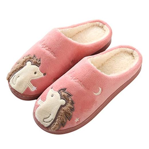 WNxiaobaozi Zapatillas De Casa Mujer Zapatillas De Mujer Dibujos Animados Erizo Zapatillas Invierno Antideslizante Piel Felpa Casa Interior Al Aire Libre Hombres Pareja Zapatos,40,41
