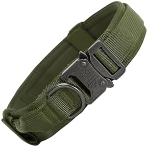 Wooflix Metal Dog Collar for Training and Walks | Nylon Collar with Tactical Metal Buckle and D-Ring for Medium and Large Dogs | Dog Collar for Medium and Large Dogs (Large, Army Green)