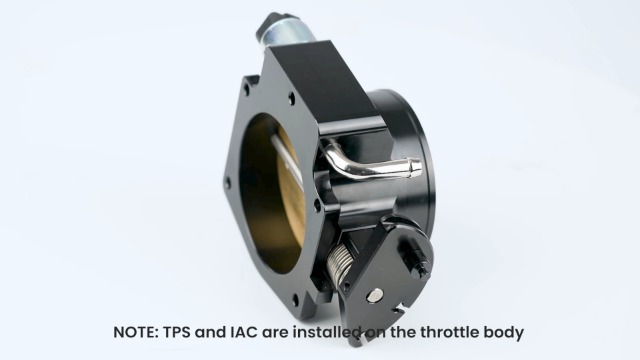 ボデイスイング 野球 ポイントスパイク ウイニングロードWBL | 総合スポーツ企業