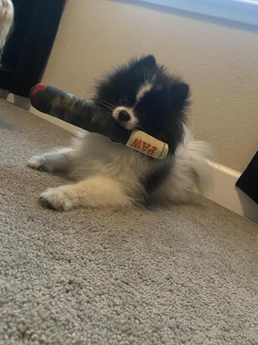 Paw Doggin Reefer Dog Toy