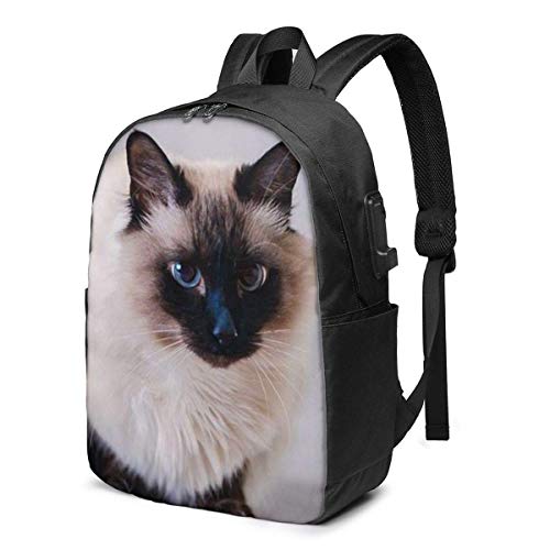 AOOEDM House Fur Animal Cat Bali Mochila para Estudiantes de la Escuela Mochila universitaria Viajes de Negocios con Puerto de Carga USB Apto para computadora portátil de hasta 15.6 Pulgadas de Equip