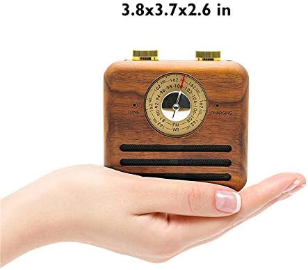 PAGARIA Portable Retro Vintage AM/FM Radio with Bluetooth & Walnut Wood Speaker