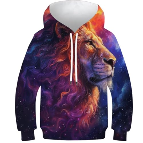 Enfants hoodie lion pull manches longues ado fille garçon vêtement 3D