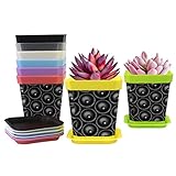 Haz tu propio jardín: saca la belleza de tus queridas plantas y flores, ya sea que estén tumbadas o colgadas. Ideal para decorar el alféizar de la ventana, escritorio, estante, balcón, sala de estar, cocina, jardín, oficina, etc.
