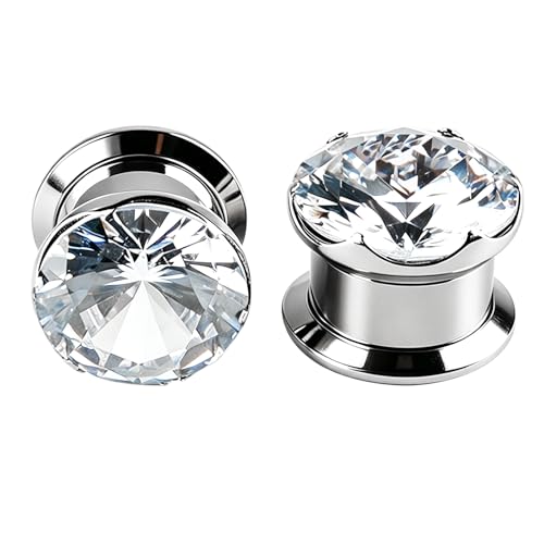 WINSENET 2Pcs Gauges For Ears Stainless Steel Screw Ear Tunnels Plugs Hypoallergenic Ear Stretcher Expander Jewelry for Women Men
