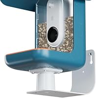 Birdbuddy Wandhalterung – Vielseitige Vogelfutterstation-Wandhalterung für Wände und Zäune – Langlebiges, wetterfestes, Robustes & sicheres sowie stilvolles Futterstation-Zubehör für den Außenbereich