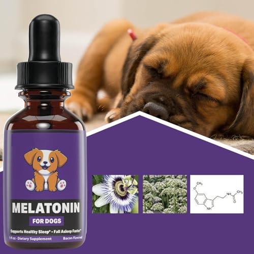 Hunde-Schlaf-unterstützung, 60ml Schlafmittel Für Hunde, Flüssiges Nahrungsergänzungsmittel Zur Unterstützung Eines Gesunden Schlafes Bei Haustieren